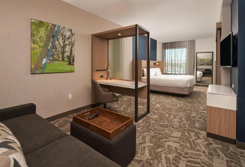 스위트 킹사이즈 침대, Springhill Suites By Marriott Winter Park
