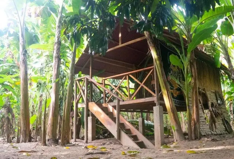 Standard-huone Parveke, La Playita