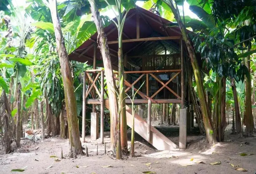 Standard-huone Parveke, La Playita