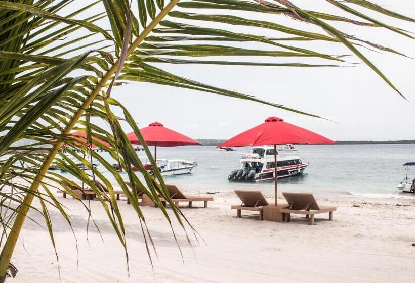 חדר סטנדרט נוף לגינה, Maruti Beach Club