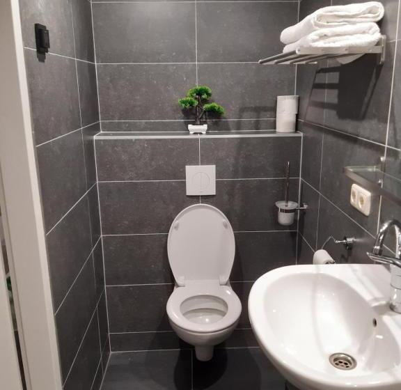 חדר דחוקס עם מיטת קינג, Pension Het Hoefijzer