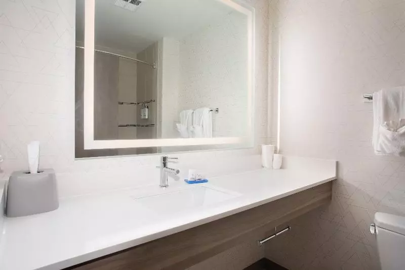 スタンダードルーム, Holiday Inn Express Hotel & Suites Grand Junction, An Ihg