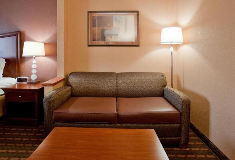 스탠다드 룸, Holiday Inn Express Hotel & Suites Suffolk, An Ihg