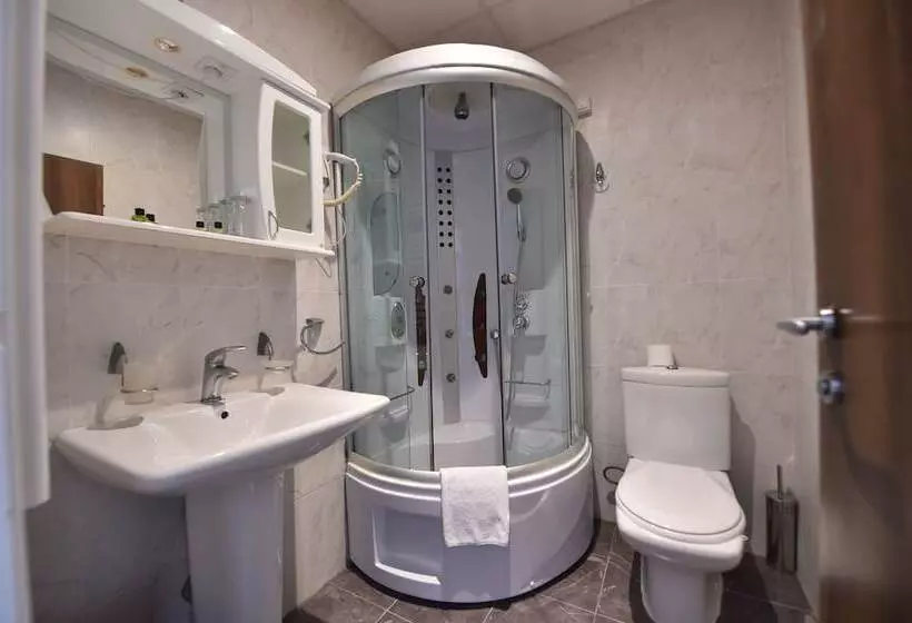 اتاق استاندارد, Balkan Hotel Garni