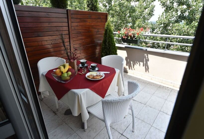 اتاق استاندارد با تراس, Balkan Hotel Garni