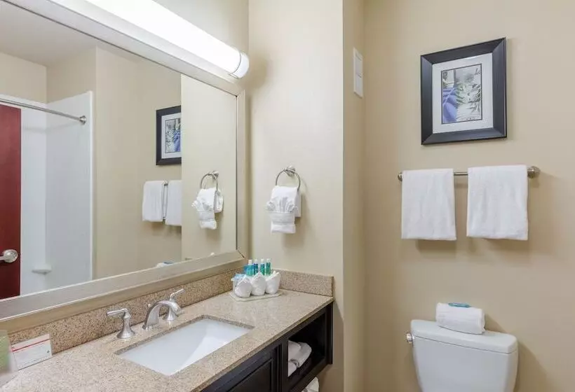 スイート, Holiday Inn Express Hotel & Suites Dallas West, An Ihg