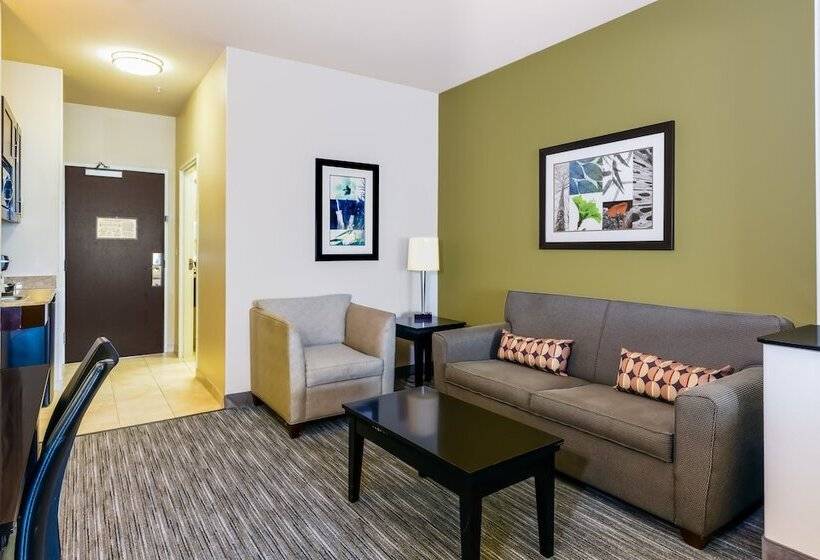 스위트, Holiday Inn Express Hotel & Suites Dallas West, An Ihg