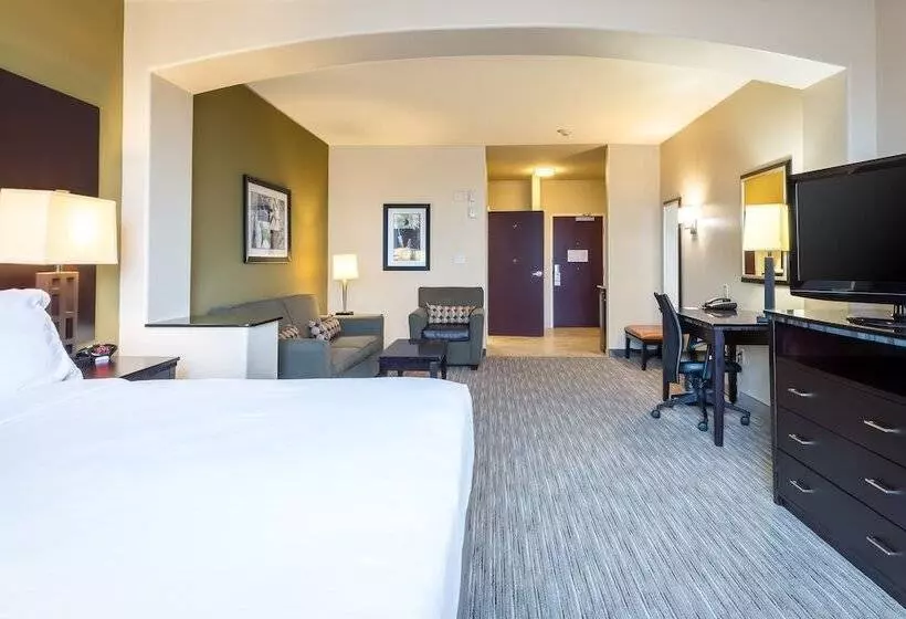 スタンダードルーム, Holiday Inn Express Hotel & Suites Dallas West, An Ihg