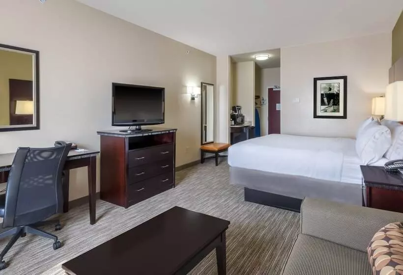 スタンダードルーム, Holiday Inn Express Hotel & Suites Dallas West, An Ihg