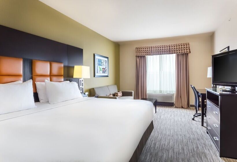 스탠다드 룸, Holiday Inn Express Hotel & Suites Dallas West, An Ihg