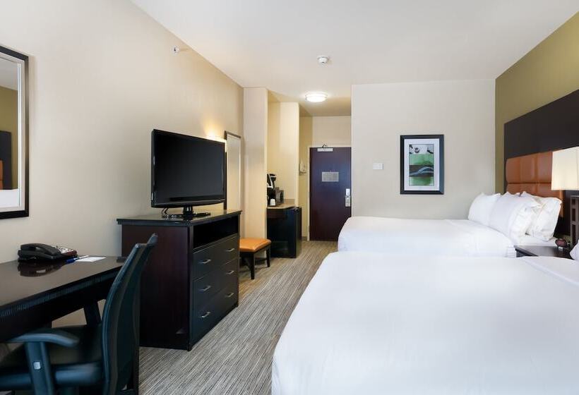 스탠다드 룸, Holiday Inn Express Hotel & Suites Dallas West, An Ihg