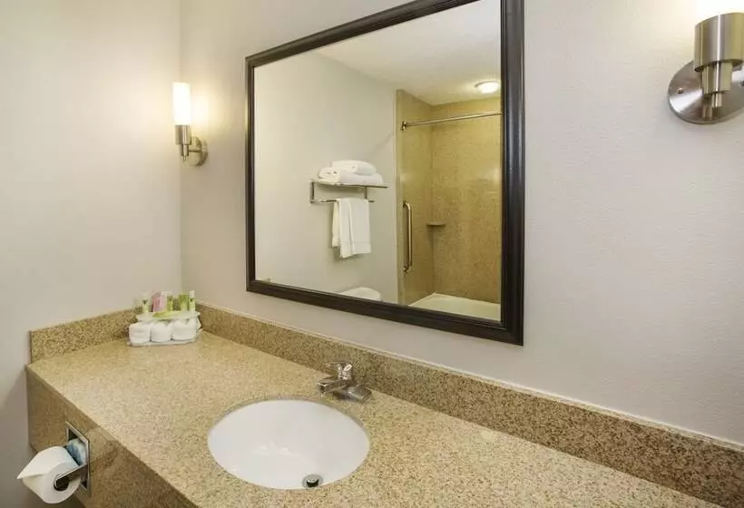 スタンダードルーム, Holiday Inn Express Hotel & Suites Kalamazoo By Ihg