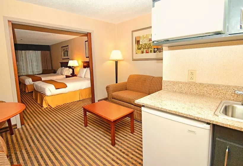 スイート, Holiday Inn Express Hotel & Suites Kalamazoo By Ihg