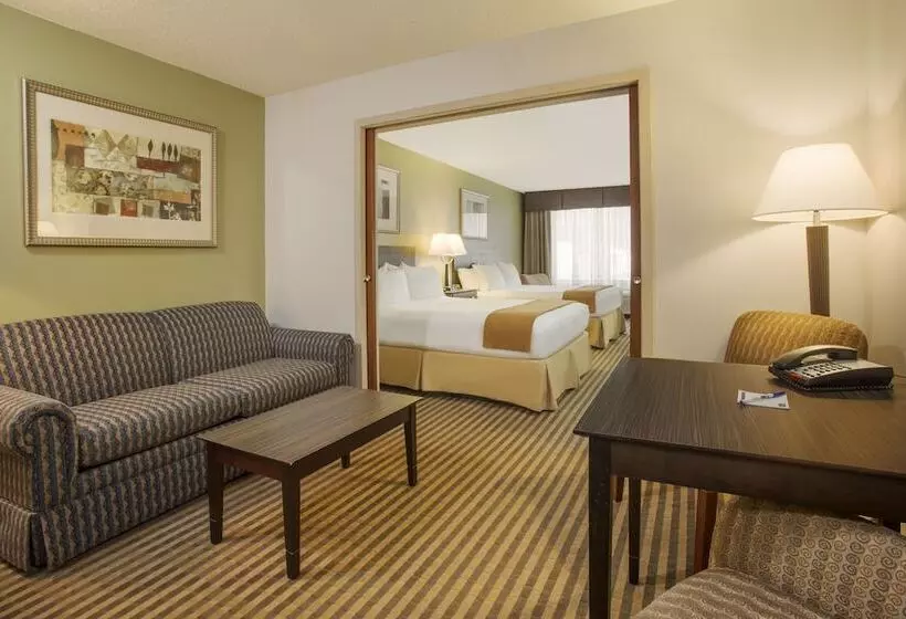 スイート, Holiday Inn Express Hotel & Suites Kalamazoo By Ihg