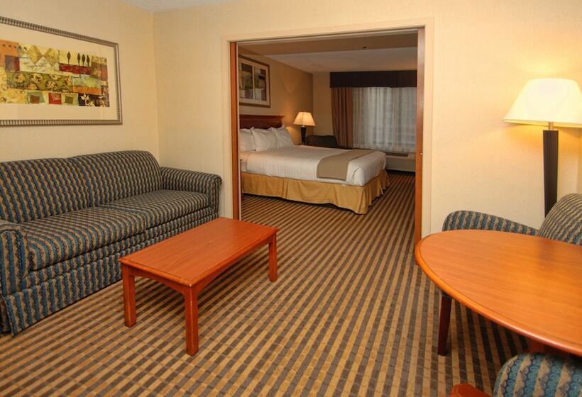 Люкс, Holiday Inn Express Hotel & Suites Kalamazoo By Ihg