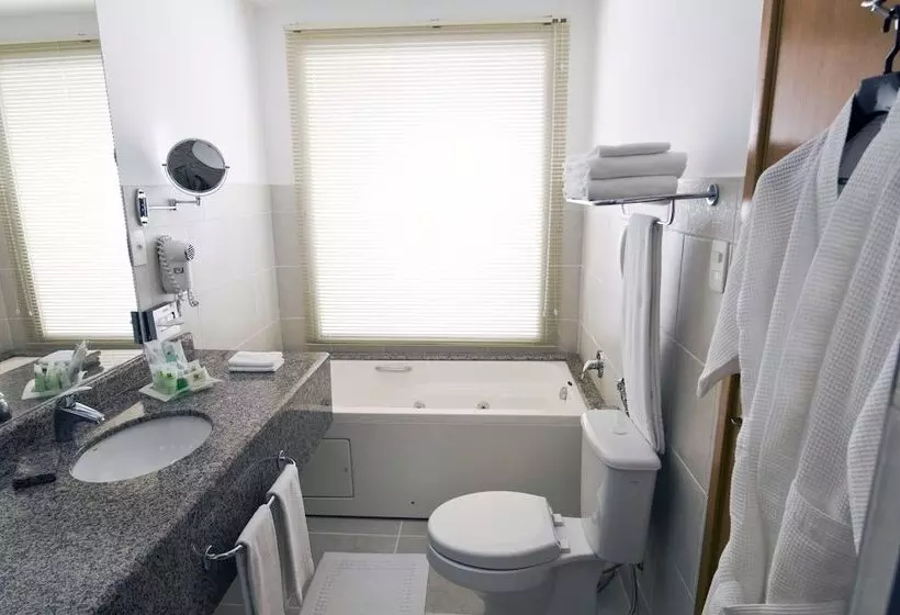 プレミアムルーム, Holiday Inn Manaus, An Ihg