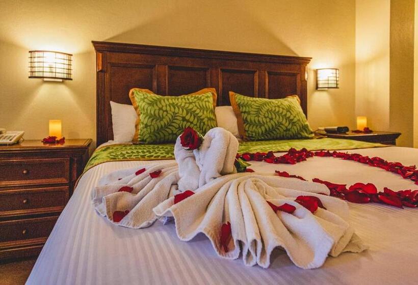 غرفة قياسية سرير كينج, San Carlos Tequisquiapan