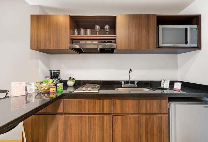 高级套房, Leblón Suites