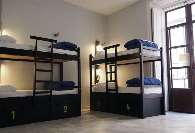 تختخواب در اتاق مشترک, Joy Plaza de Armas