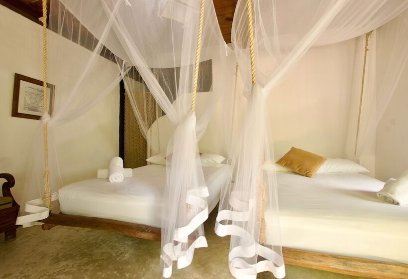 اتاق استاندارد با 2 تخت دوبل, Zulum