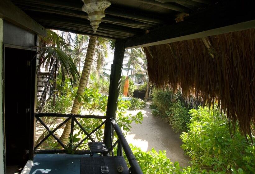 اتاق استاندارد با تخت دوبل, Zulum