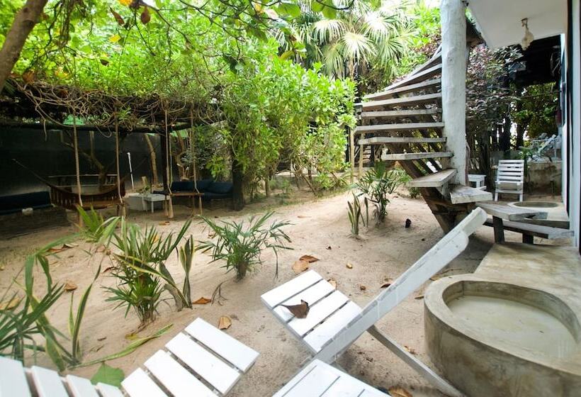 اتاق استاندارد با چشمانداز باغ, Zulum