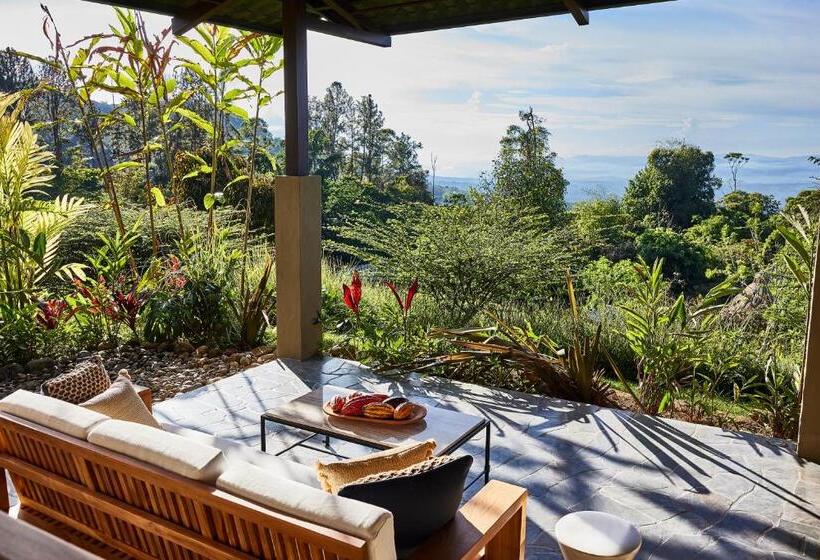 اتاق استاندارد چهار تخته, Hacienda Altagracia, Auberge Resorts Collection