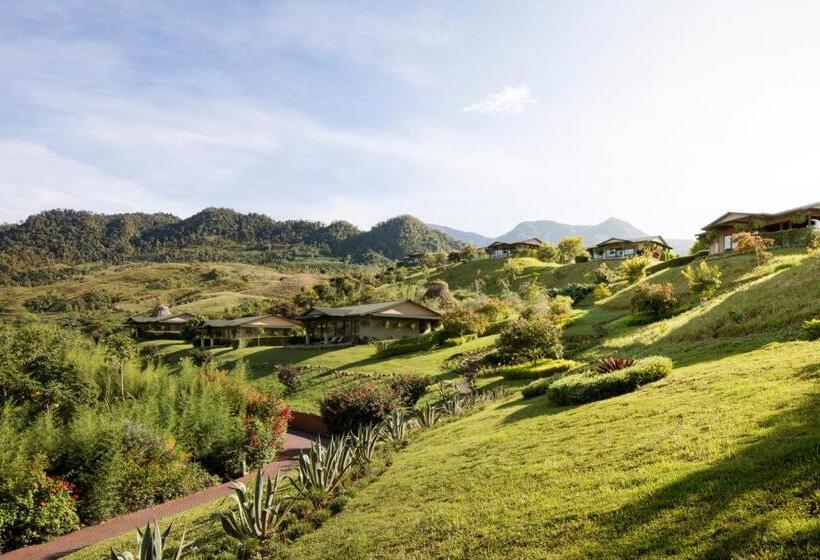 اتاق استاندارد سه نفره, Hacienda Altagracia, Auberge Resorts Collection