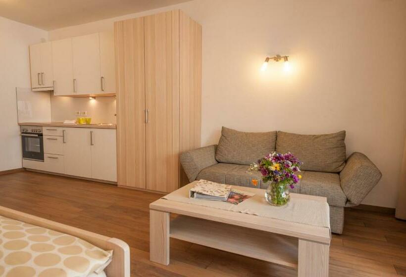 חדר סטודיו סטנדרד, Vettererhof