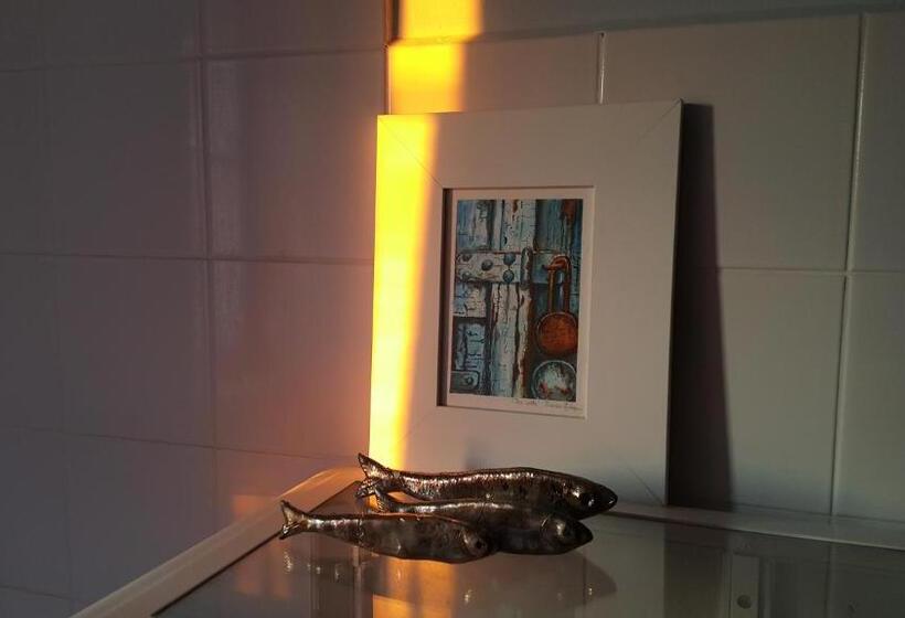 اتاق اکونومی, Room Next To Porto Montenegro