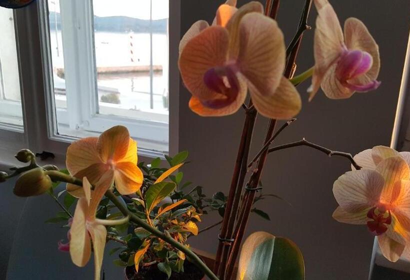 اتاق استاندارد با چشمانداز دریا, Room Next To Porto Montenegro