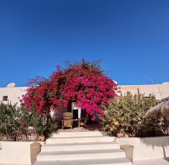 غرفة قياسية, Menzel Caja