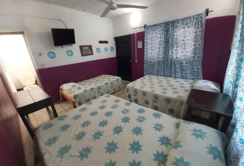 Standart Beşli Oda, Ayalamar Manzanillo