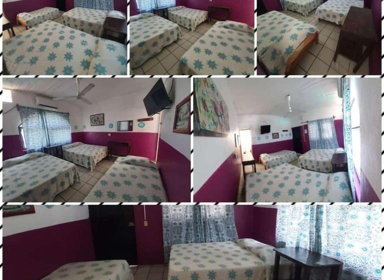 Standart Beşli Oda, Ayalamar Manzanillo