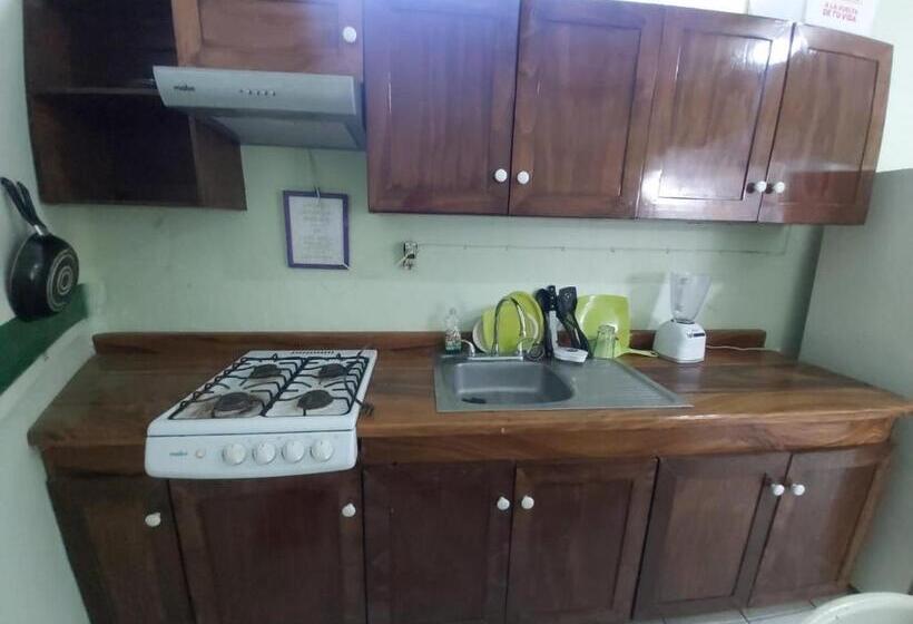 Teraslı 1 Yatak Odalı Daire, Ayalamar Manzanillo