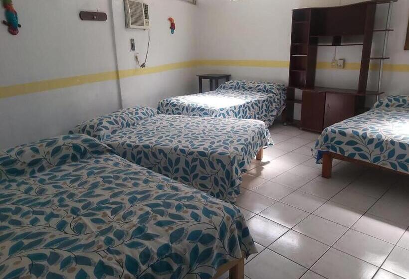 Teraslı 1 Yatak Odalı Daire, Ayalamar Manzanillo