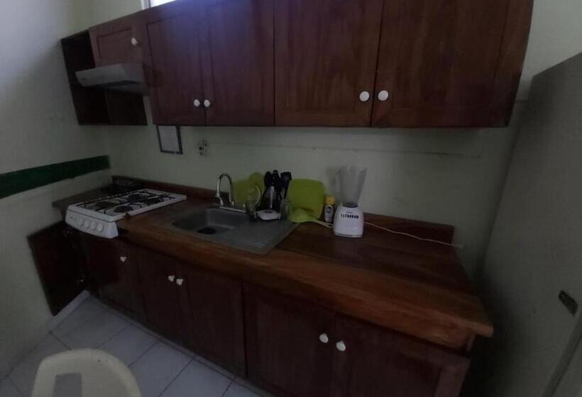 Teraslı 1 Yatak Odalı Daire, Ayalamar Manzanillo