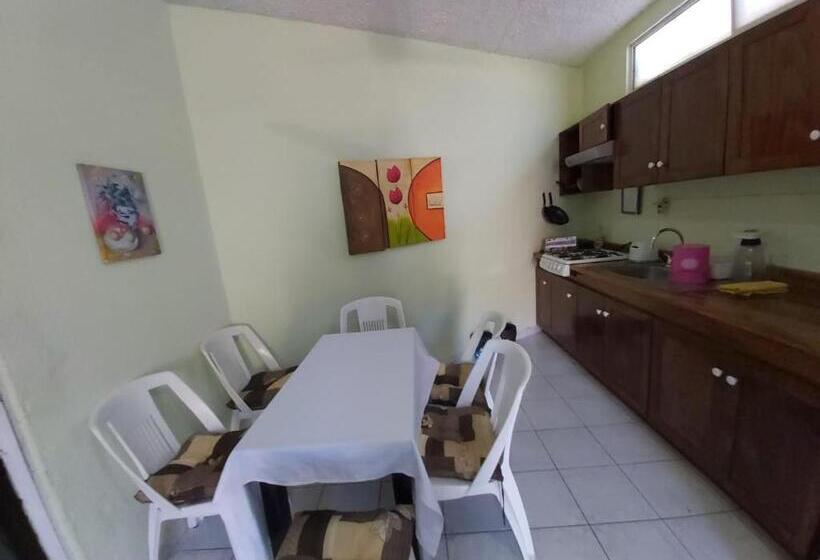 Teraslı 1 Yatak Odalı Daire, Ayalamar Manzanillo