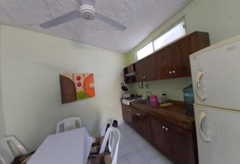 Teraslı 1 Yatak Odalı Daire, Ayalamar Manzanillo