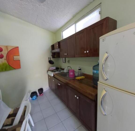 Teraslı 1 Yatak Odalı Daire, Ayalamar Manzanillo