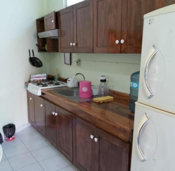 Teraslı 1 Yatak Odalı Daire, Ayalamar Manzanillo