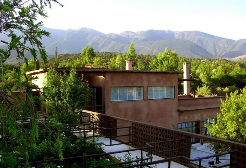 سوییت جونیور, Domaine Malika   Adults Only