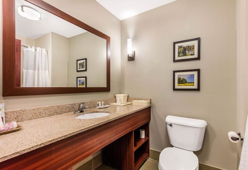 スイート, Comfort Suites Tuscaloosa Near University