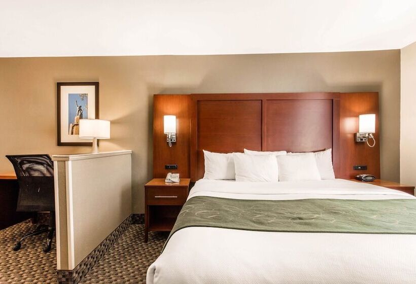 スイート, Comfort Suites Tuscaloosa Near University