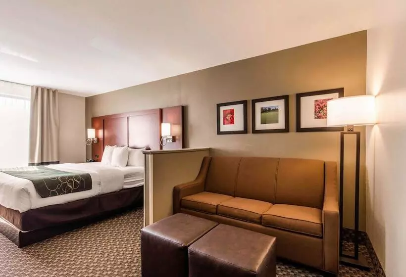 スイート, Comfort Suites Tuscaloosa Near University