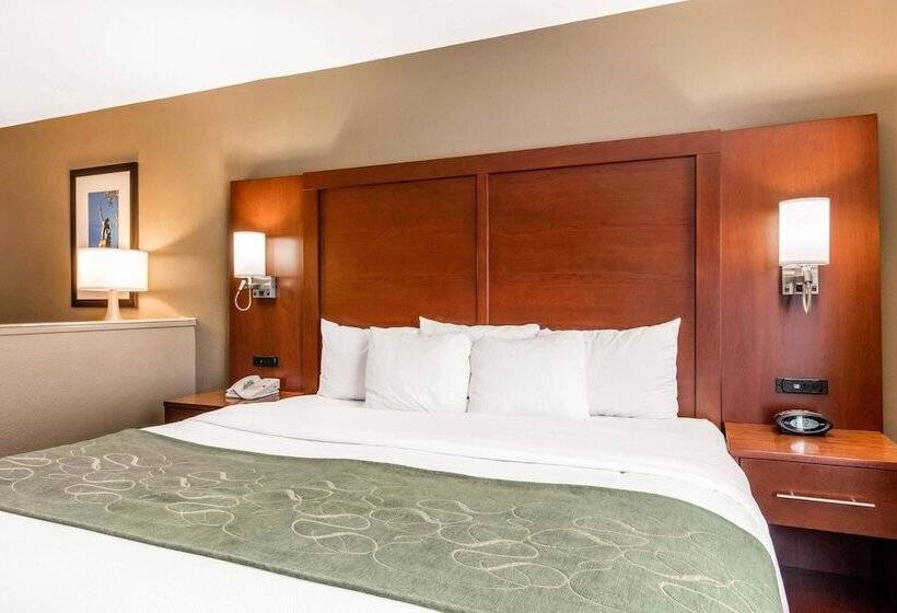 Люкс, Comfort Suites Tuscaloosa Near University