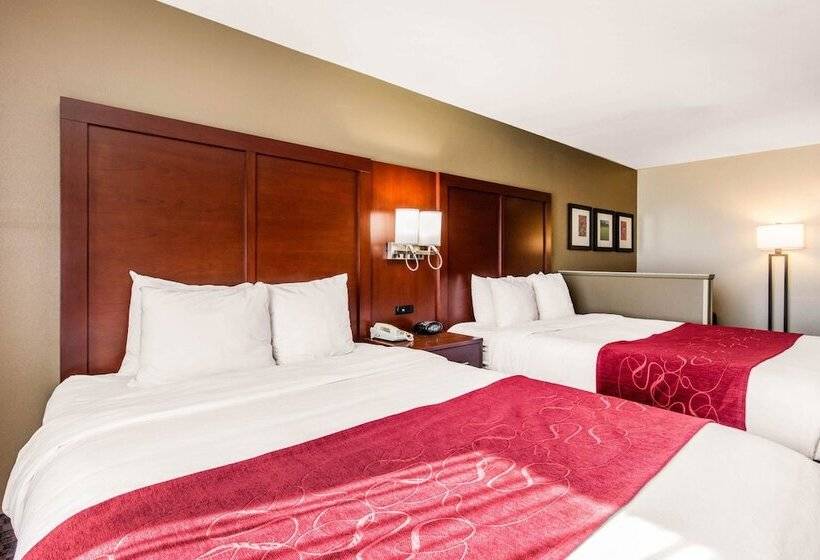 Люкс, Comfort Suites Tuscaloosa Near University