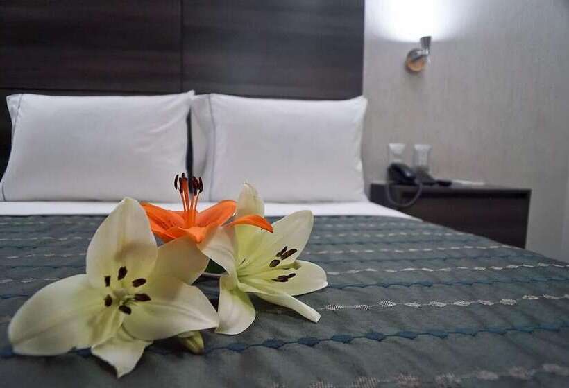 标准间, Expo Abastos