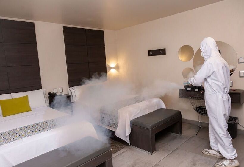 标准间, Expo Abastos