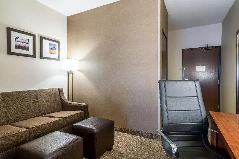 سوئیت با تخت بزرگ, Holiday Inn   Brownsville, An Ihg